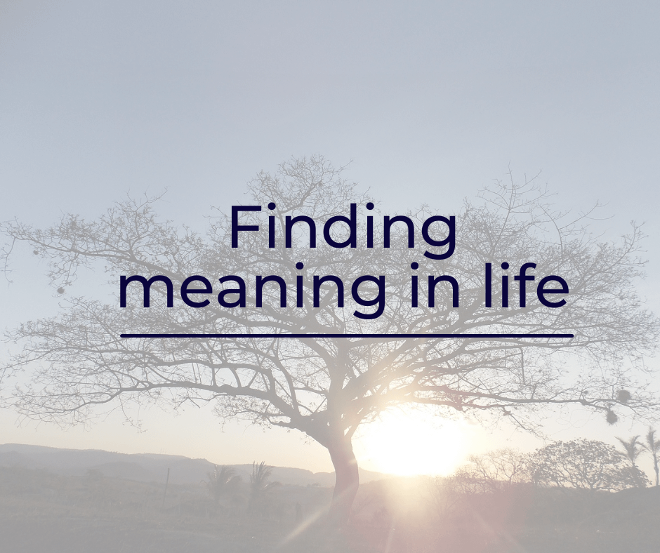 finding-meaning-in-life-holywhat-holistic